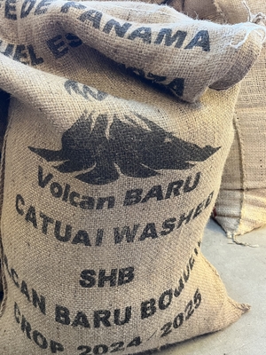 パナマ　ボケテ地区　ボルカン バル