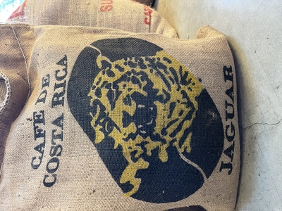 コスタ リカ　タラス地区　&ldquo;ジャガー ハニー&rdquo;