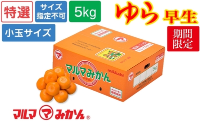 ◆予約受付◆【特選】Sまたは2S(小玉)5kg/（ゆら早生）マルマみかん