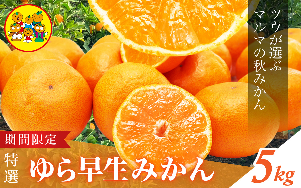 こみかん様 　2点購入 みかん缶詰 （Mサイズ） 2号缶 X027533｜食彩ネット