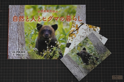 写真絵本「世界遺産知床の自然と人とヒグマの暮らし（著者サイン入り）」ポストカード3枚付き（送料込）