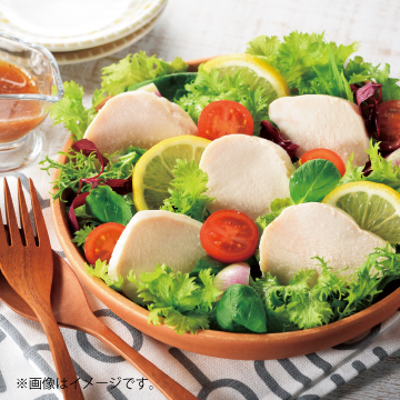 乳酸菌入りサラダチキン(プレーン) 100g 5個セット | 日本食品