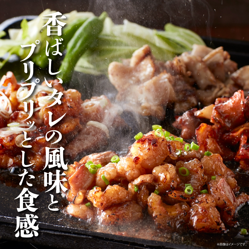 冷凍）国産牛ホルモン味付け（醤油）300g 2パックセット | 日本食品