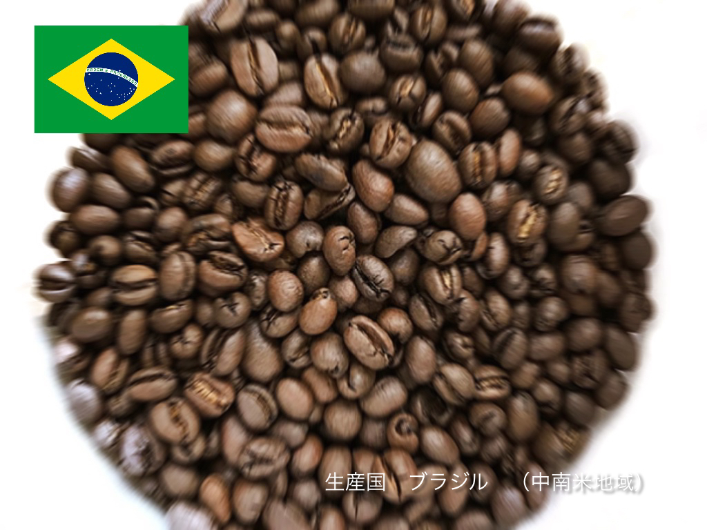 141円 最高 ブラジルピーベリー 100g 141円 最高 ブラジルピーベリー 100g