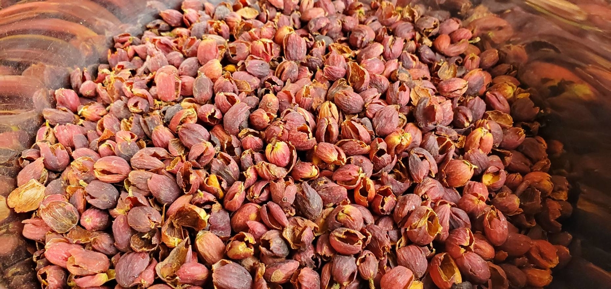 国産珈琲リーフ100%「果実ティー」ティーバッグ12個入 | Noah