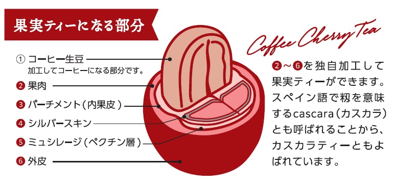 沖永良部島産100％果実の極＆果実ティー スペシャルセット | Noah