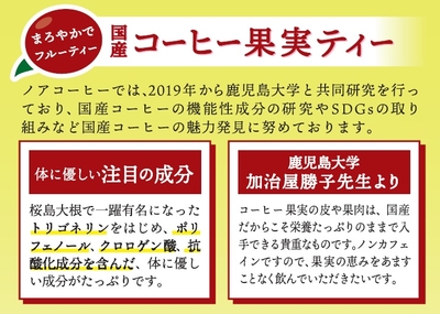 国産珈琲リーフ100%「果実ティー」ティーバッグ12個入 | Noah