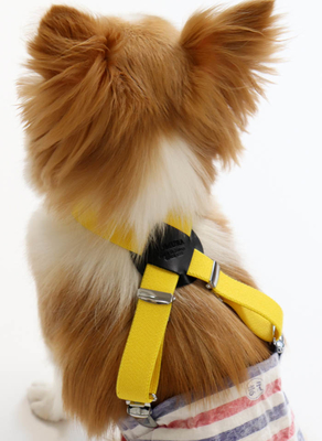犬 小型犬 用 サスペンダー マナーベルト チワワ ペット オムツ マナーパンツ いぬ Nomura ｎｏｍｕｒａ