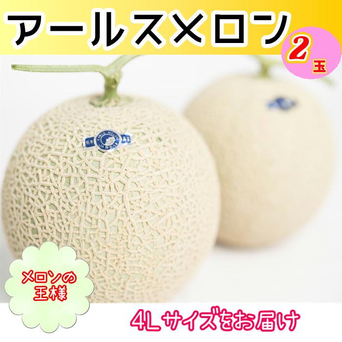 ［DFruitsセレクト］超大玉！４Lサイズ　アールスメロン（マスクメロン）　４玉入り産地箱［DFruits］(004)