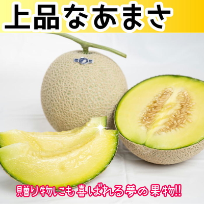 メロン② 赤肉メロン2玉詰3.2kg | とみたメロンハウス