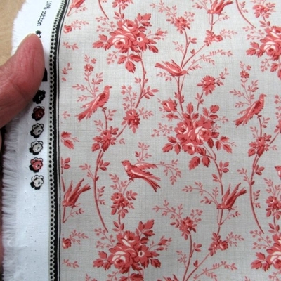 OISEAUX / SMOKE (13996-15)