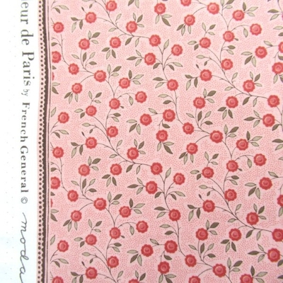 TOPIARE / PALE ROSE (13995-16)