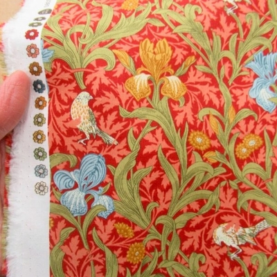 IRIS / RUSSET(13380-16)