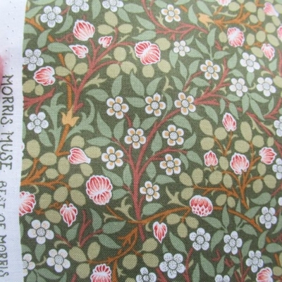 CLOVER / SAGE (13385-12)