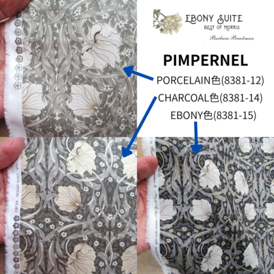PIMPERNEL　3枚セット(50㎝×50㎝)