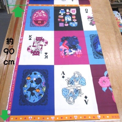 WONDER LAND PANEL   /   MULTI    ( RS2120-11)