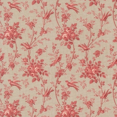 OISEAUX / SMOKE (13996-15)