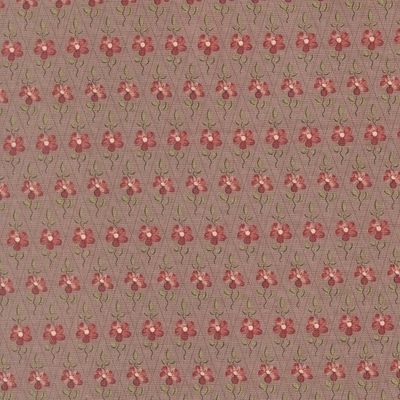 PAQUERETTE / LAVENDER(13997-17)