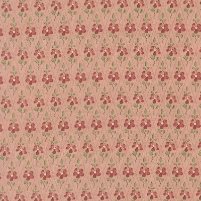 PAQUERETTE / PALE ROSE(13997-16)