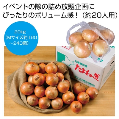 北海道産玉ねぎ詰め放題キット20kg（約20人用）