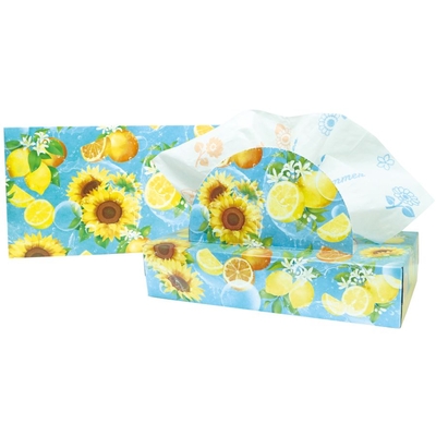 2026ビタミンサマー　ティッシュ120W