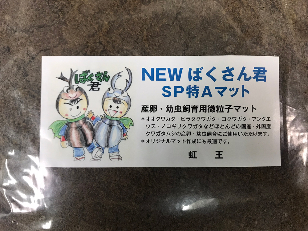 ノラネコぐんだん公式 | ・ ／ ニャー🚅 ＼ #ノラネコぐんだん