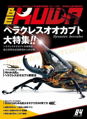 ビークワ　BEKUWA 1〜43 ビークワ BEKUWA 1〜87号 ビークワ87号（BE・KUWA） 世界の