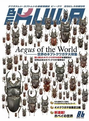 BE-KUWA No.86 世界のネブトクワガタ大特集 | モンスター