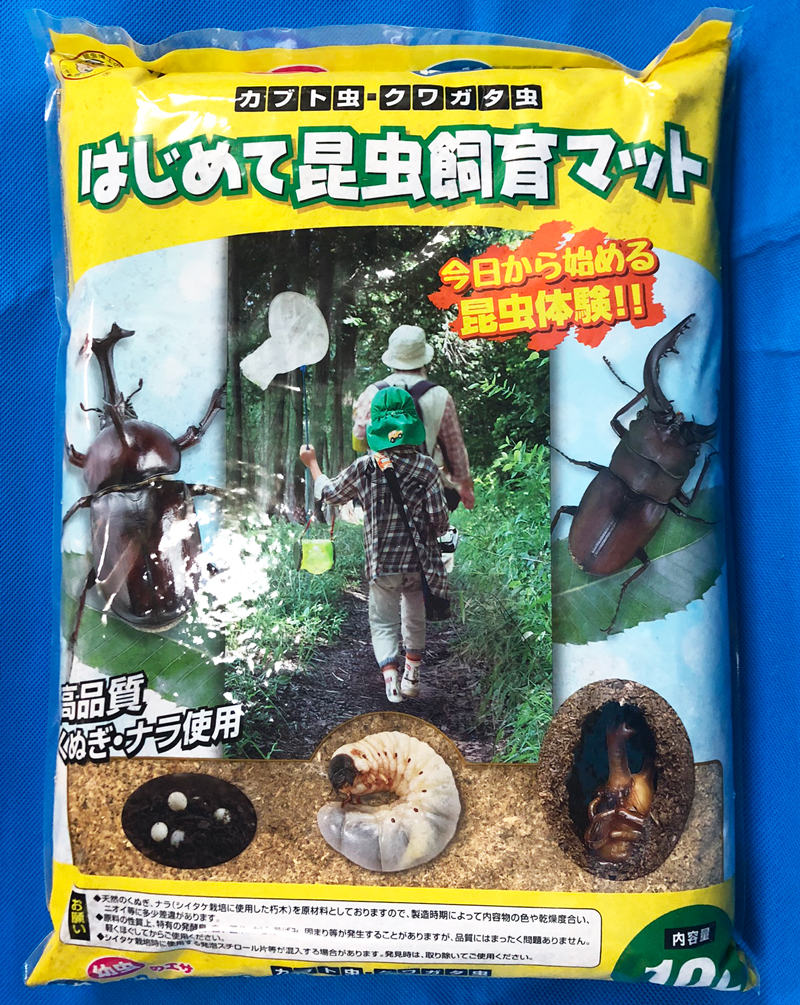 カブトムシ 虫 飼育ケース 飼育ボトル まとめ売り パネルヒーター