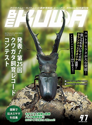 BE-KUWA No.97　クワガタ飼育レコード コンテスト