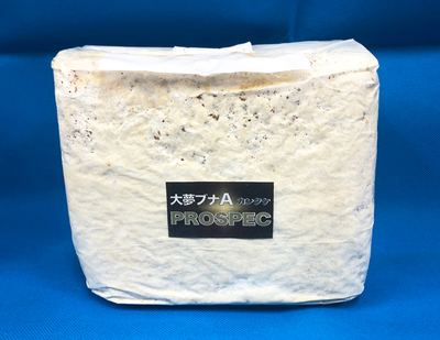 ■大夢A　ブナカンタケ　ブロック