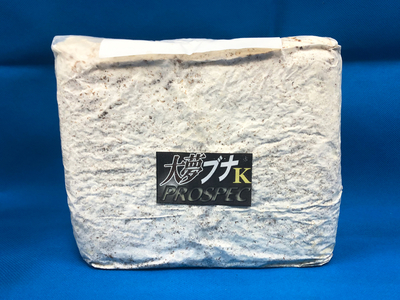 ■大夢Ｋブナ　カワラプロスペック ウェイヴ　ブロック