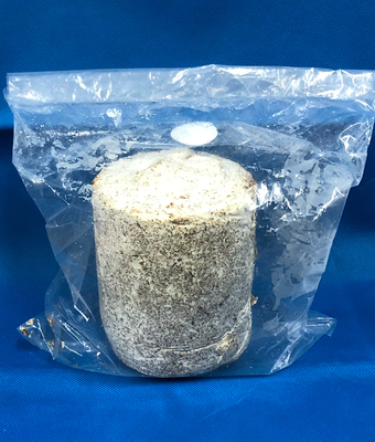 ■産卵用菌床　ニクウス丸