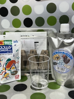 コオロギ飼育セット