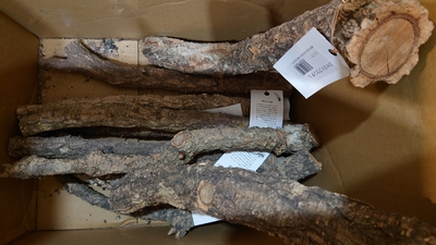 コルクジャストブランチL