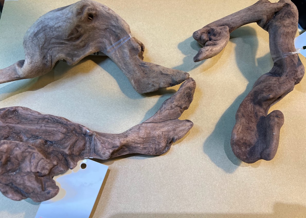 プレミアム流木 Sサイズ | ワイルドスカイ通販