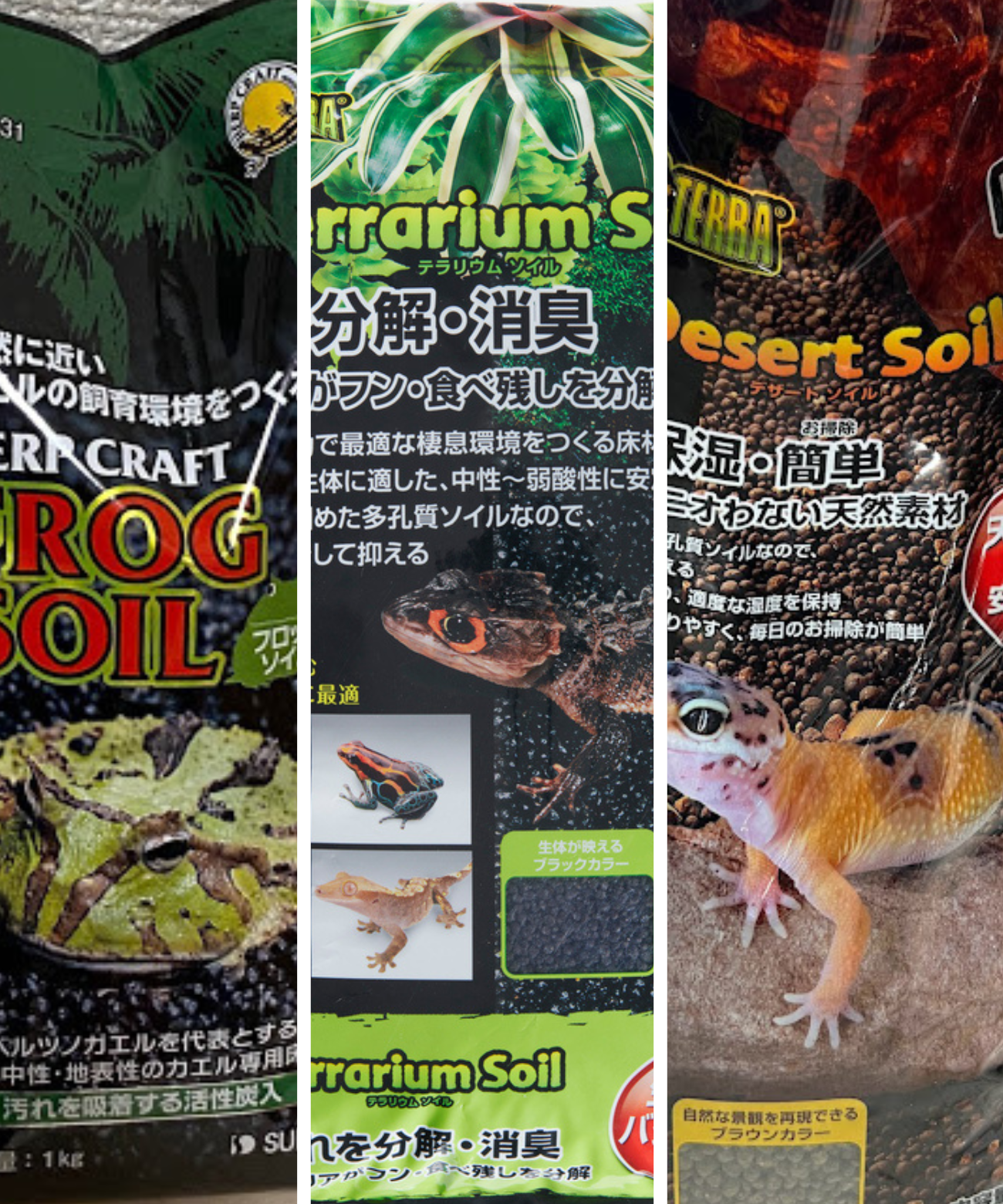 春の床材リフレッシュ