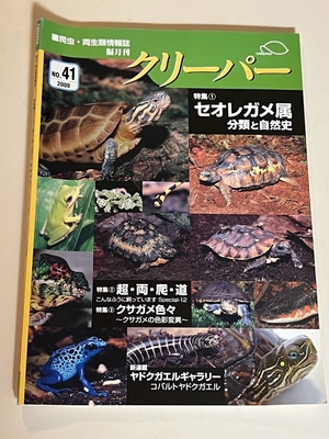 レターパックライトで送る　クリーパー41号