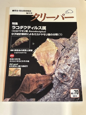 レターパックライトで送る　クリーパー70号