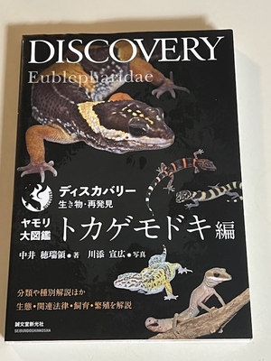ヤモリ大図鑑 トカゲモドキ編: 分類や種別解説ほか生態・関連法律・飼育・繁殖を解説 (ディスカバリー生き物・再発見)　古本
