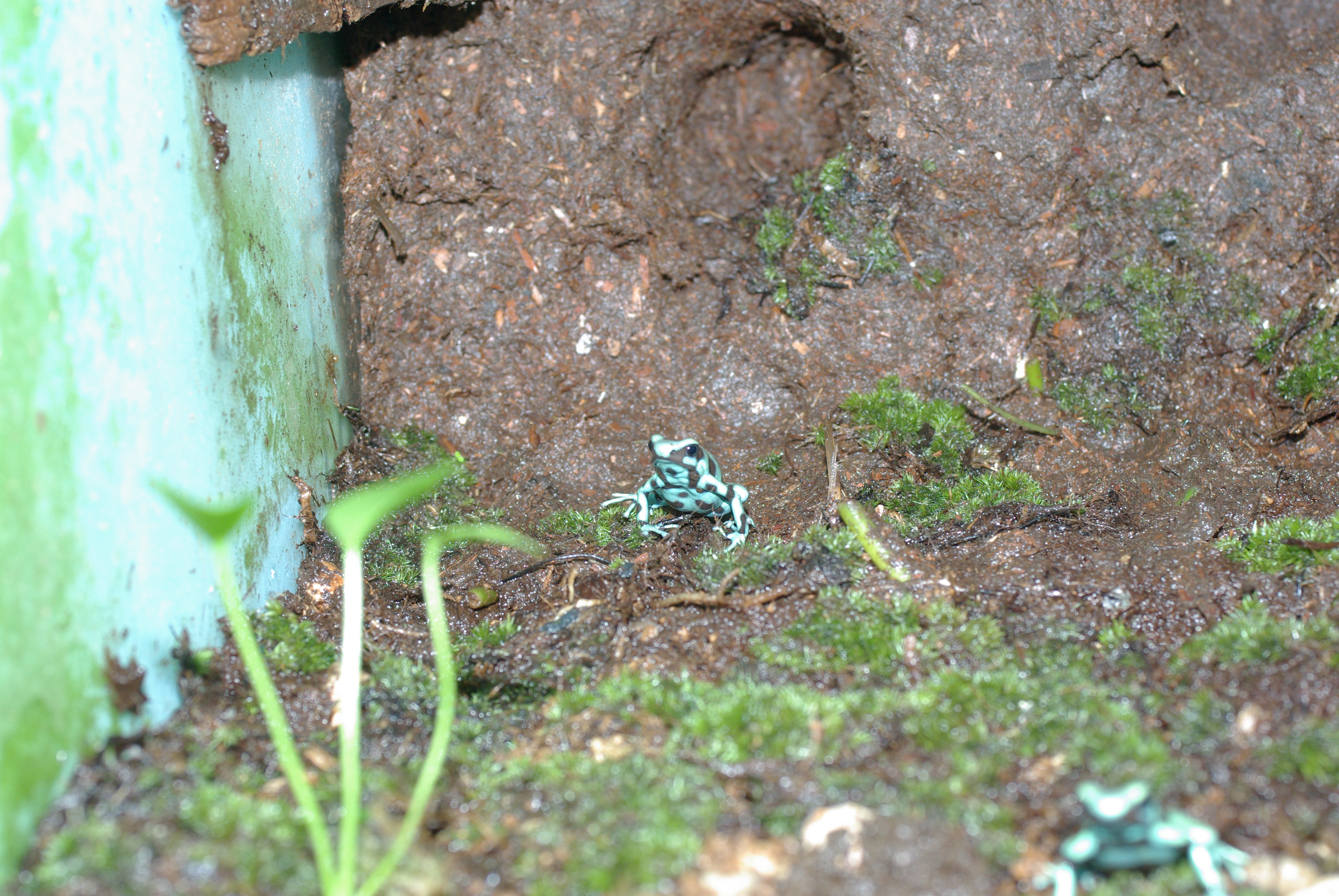 植えれる君と造型君を利用したレイアウト例