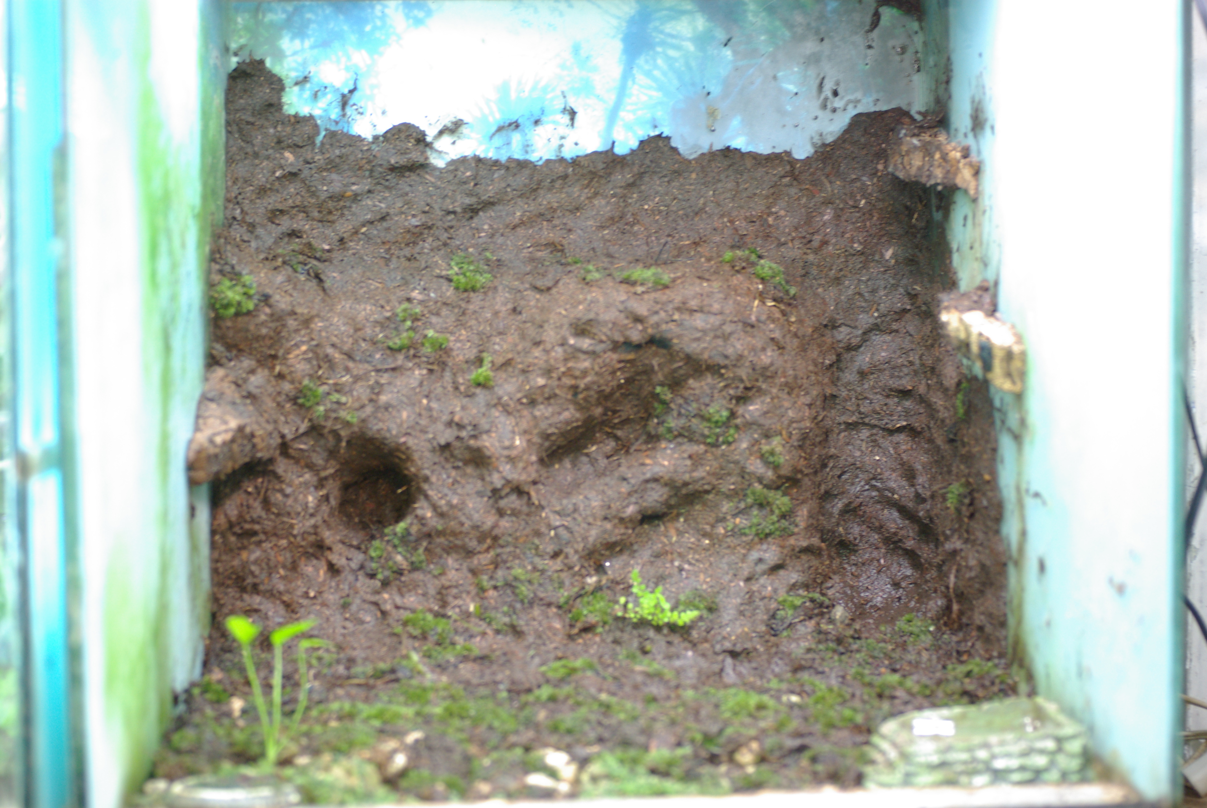 植えれる君と造型君を利用したレイアウト例