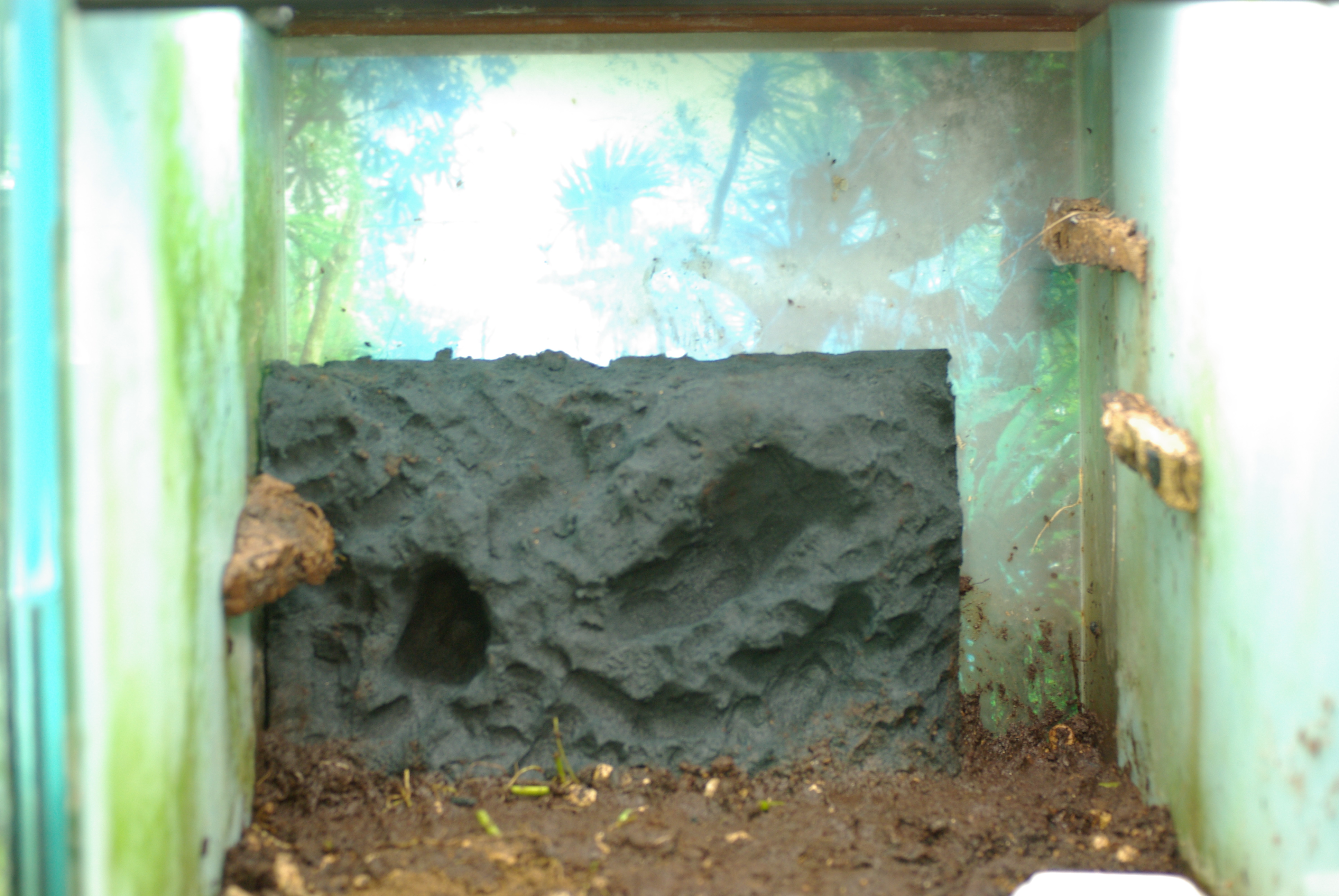 植えれる君と造型君を利用したレイアウト例