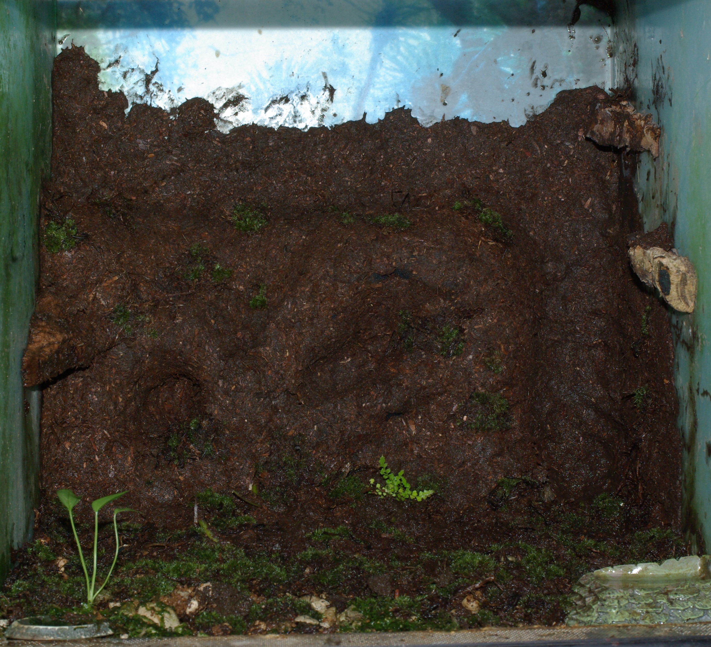 植えれる君と造型君を利用したレイアウト例