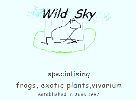 wildsky frog 