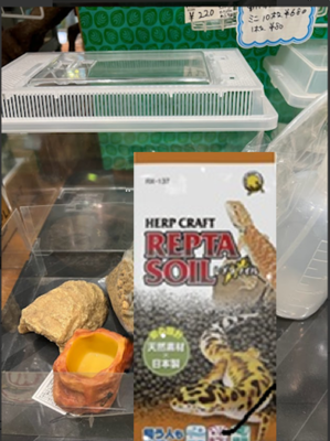 ニホンヤモリ飼育の基本セット