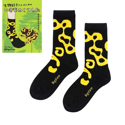 生物好きさんのための いきものくつしたキオビヤドクガエル