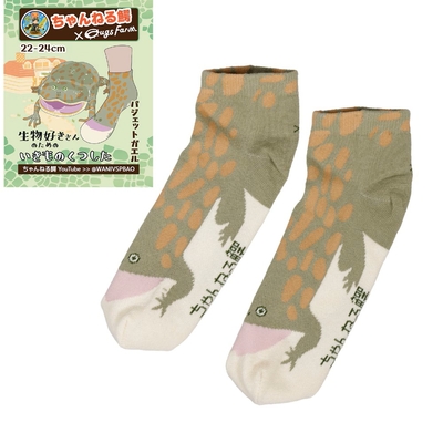 生物好きさんのためのいきものくつしたバジェットガエルbyちゃんねる鰐