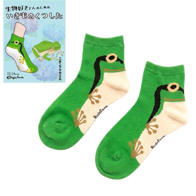 生物好きさんのための いきものくつしたニホンアマガエル