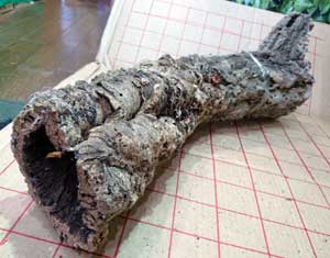 バージンコルクと流木 ワイルドスカイ通販